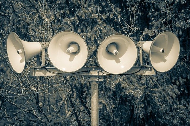 التوطين، السياسة، الهندي، الانتخابات، الخسارة، الناخبون، التأثير، المكاسب،